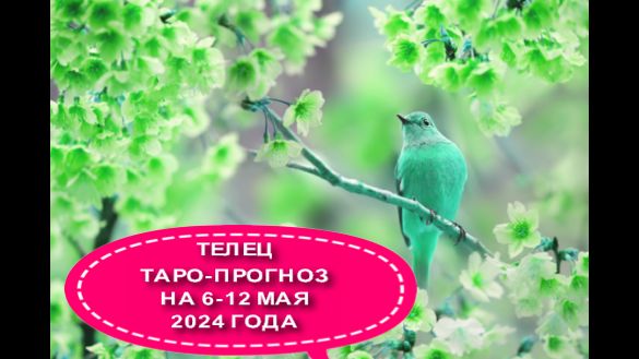 ТЕЛЕЦ ТАРО-ПРОГНОЗ НА НЕДЕЛЮ С 6 ПО 12 МАЯ 2024 ГОДА