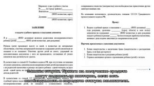 Можно ли повторно подать на алименты после отказа