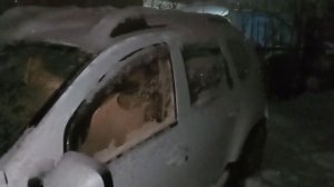 Рено Дастер. Запуск двигателя в мороз.