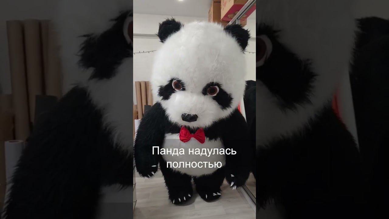 Отремонтировали панду и смотрим что получилось. Ремонт надувной ростовой китайской панды. Часть 2