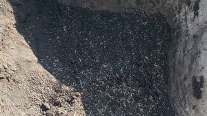 ПЛОЩАДКА ПОД МАНГАЛ на ДАЧЕ СВОИМИ РУКАМИ! Идеи ДОРОЖЕК для ДАЧИ.