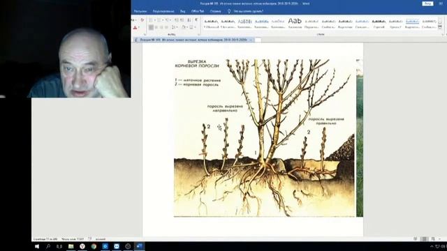 Железов Валерий Вебинар 109 ч 5 Корневая поросль смотреть онлайн