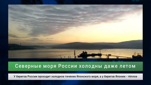 Антивирусная триада России: лекарство, вакцина, тесты смотреть онлайн