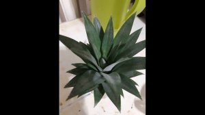 Ананас и лимончик