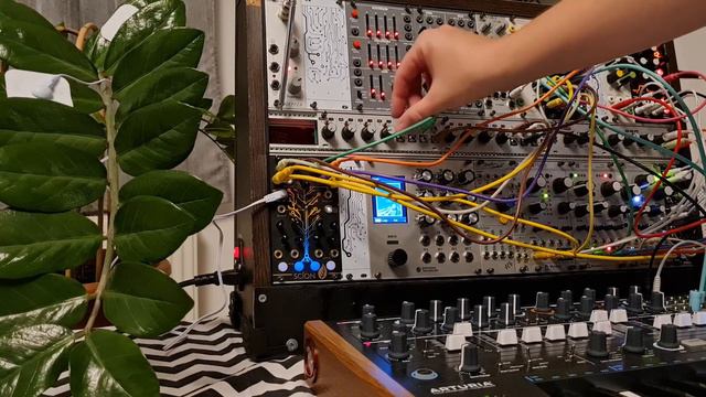 Synth-B - Plant Music I. (Generative Modular Ambient with Instruo Scion module) смотреть онлайн