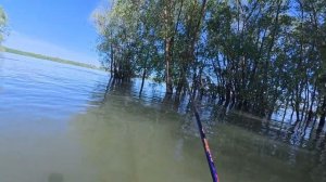 Рыбалка в Новосибирске_ Огурцово на чебака.