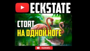 100 ИНТЕРЕСНЫХ ФАКТОВ О ПТИЦАХ