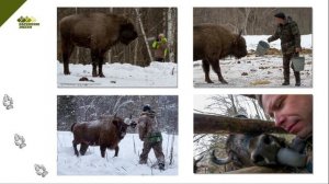 Фотовыставка «Заповедными тропами по засечным дубравам»