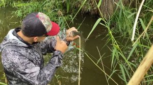 В ручье живут монстры!!! Рыбалка на голавля