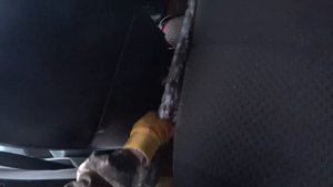 Сдаём рекордный металл. Разом загрузили пол тонны в Гранту. Поездка на Почту. Жизнь в деревне.