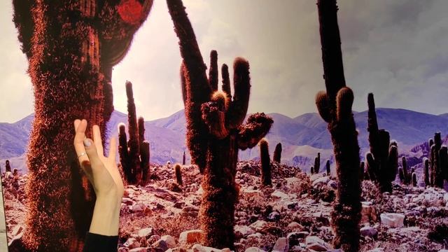 Человек Арт-Объект Алла Зиневич- Diego Blanco «Дыхание Аргентины». ЛЕНДОК | Галерея. смотреть онлайн