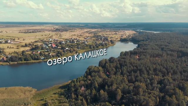 Участок 89 сот., Псковская область, Печки смотреть онлайн