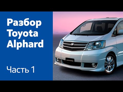 Демонтаж переднего бампера, крыльев, фар, решётки радиатора,  капота на Toyota Alphard.