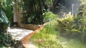 Полив Тропических растений в Оранжерее Ботанического Сада МГУ