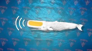 100 Фактов о Мегалодоне, о Которых вы не Знали