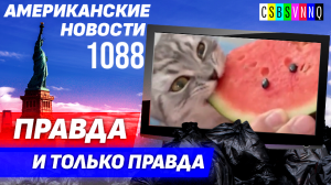 CSBSVNNQ Американские новости — выпуск #1088 от 19.08.2023