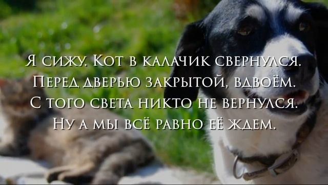 Эти стихи посвятили двум друзьям, которые никогда уже не увидят своих хозяев смотреть онлайн