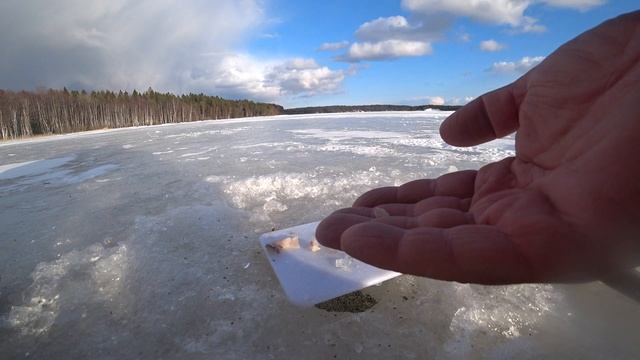 На что ловить плотву, если наживка осталась дома. смотреть онлайн