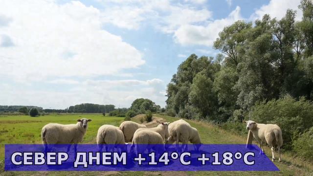 ПОГОДА НА 17 СЕНТЯБРЯ : ПОГОДА НА СЕГОДНЯ