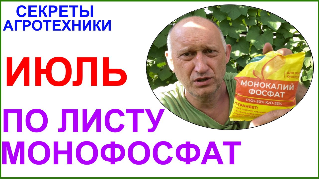 Монофосфат от милдью