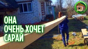 Строим сарай. Каркасный Сарай своими руками. Начало строительства. 162 серия