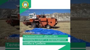 Телекомпания «Дагестан» показала сюжет о возрождении полбы в Гумбете