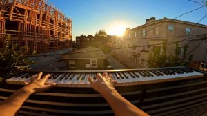 tony ann - canon in d minor