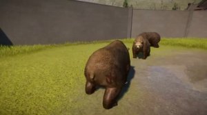 2 GRIZZLY BEARS VS 2 HIMALAYAN BROWN BEARS| Planet Zoo