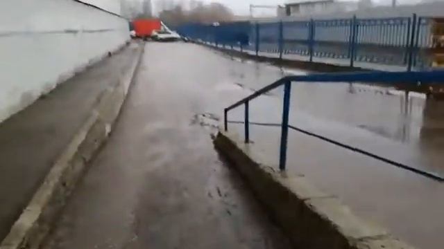 Honda ntv 650 revere смотреть онлайн