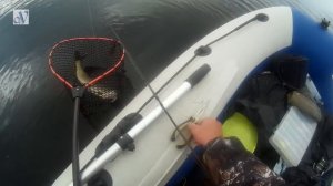 Лучший воблер по мелям и травке Kosadaka Costa XS 80F?и немного  микроджига?