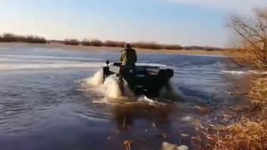 волк плывёт