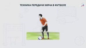 Техника безопасности в футболе, ведение мяча, основные навыки полевого игрока, обобщающий урок