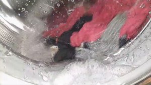 Hotpoint Ariston - Программа "Полоскание"