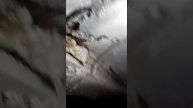 Кот в потолке смотреть онлайн