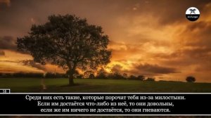 Красивое чтение Корана. Махди аш-Шишани. Сура 9 «ат-Тауба» (Покаяние) 1-114
