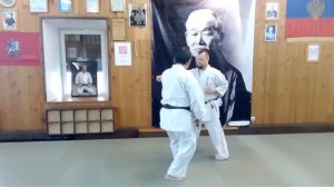 Shito ryu Garmaev 6 Dan / bunkai Pinan Nidan