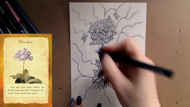 Примула смотреть онлайн