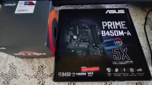 Asus prime B450M-A и AMD Ryzen 5 5600G