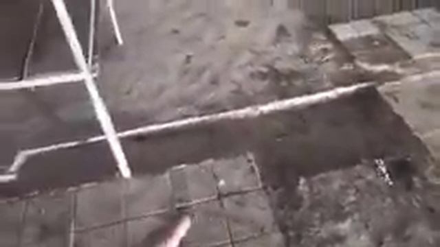 Как сделать Рассадник в помещении или комнате ? 2часть смотреть онлайн