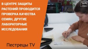 В центре защиты растений проводится проверка качества семян, другие лабораторные исследования