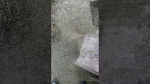 Дробилка сенорезка своими руками.