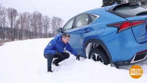 Выбираемся из снежной ловушки. Доброе утро. Фрагмент выпуска от 04.01.2021