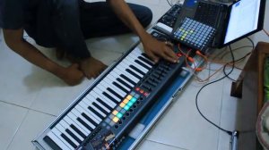 Novation Launchkey 49 - Belajar Live Looping  Coy....