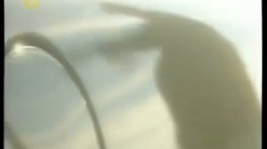 Бомба в Оклахома-Сити. Секунды до катастрофы