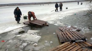 Цимлянка Серпухов, приступаем к спасению зайцев из западни