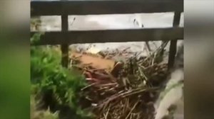 ★Словения уходит под воду. Наводнения в Словении. Flood in Slovenia 2023.