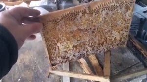 Разновидности рамок для Альпийского улья.