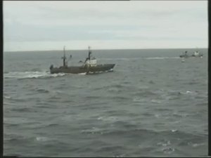 Рыбалка в море на Супер Траулере. Подъем трала.