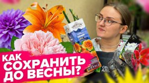 КАК СОХРАНИТЬ РОЗЫ, САЖЕНЦЫ, ЛУКОВИЧНЫЕ ДО ВЫСАДКИ?