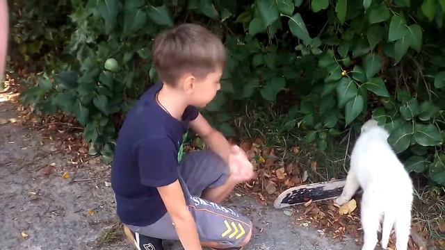 Нашли пса назвали его беляш смотреть онлайн